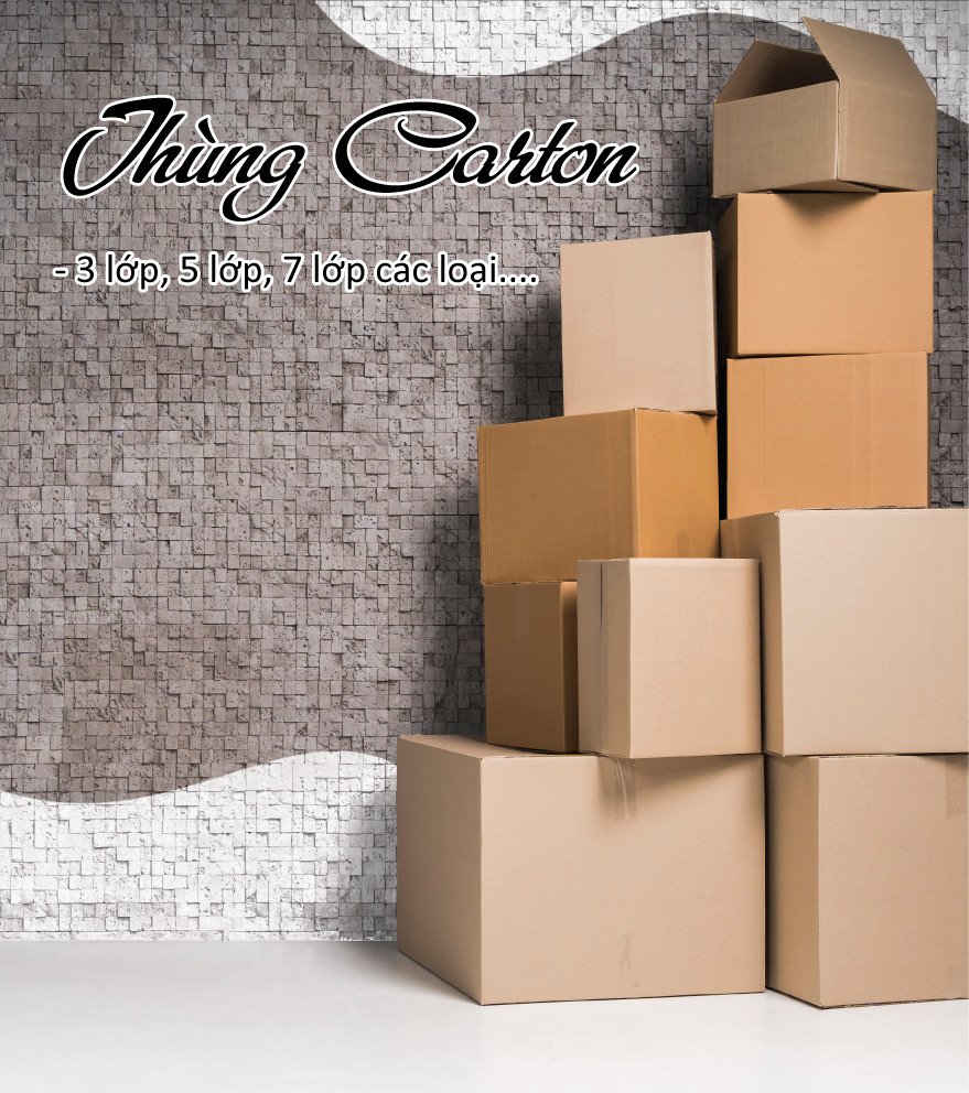 THÙNG CARTON
